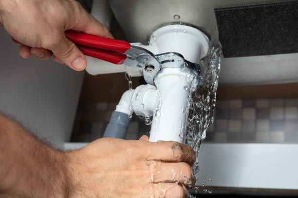 Best Basement water damage restoration  in Franklin, KY