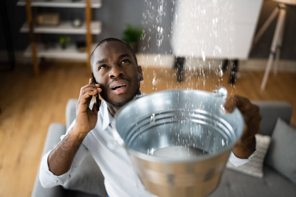 Best Residential water damage restoration  in Franklin, KY