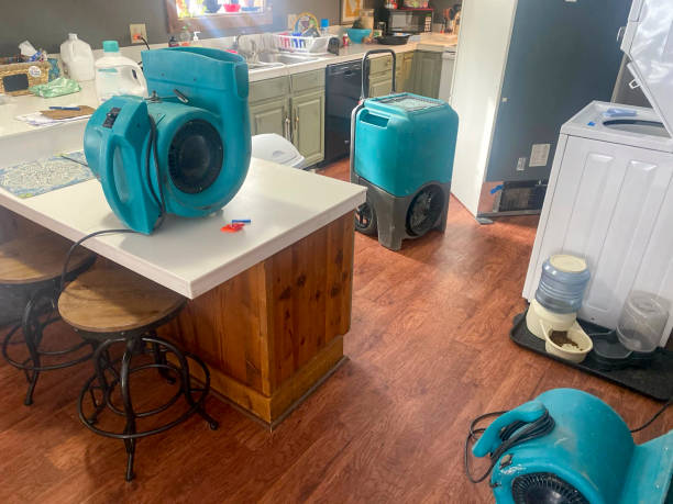 Best Emergency water damage restoration  in Franklin, KY