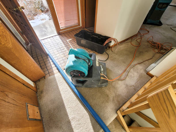 Best 24/7 water damage repair  in Franklin, KY