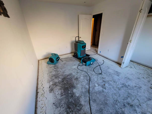 Best Flooded house restoration  in Franklin, KY