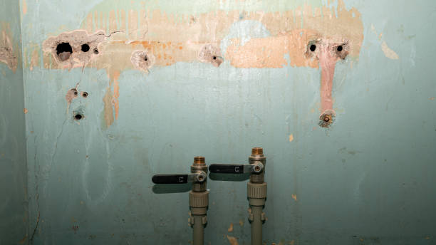 Best Water damage restoration near me  in Franklin, KY